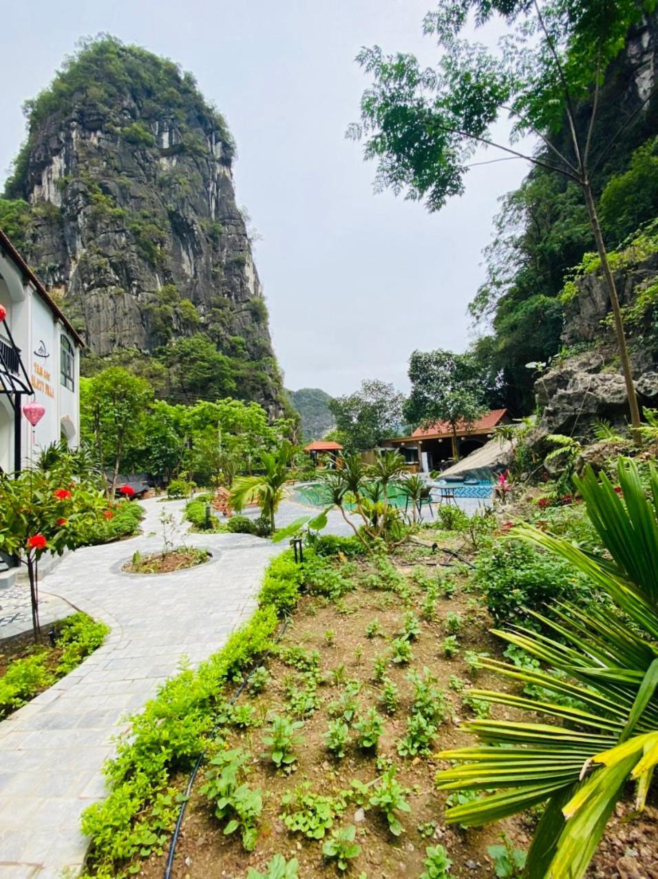 Tam Coc Galaxy Villa นิญบิ่ญ ภายนอก รูปภาพ